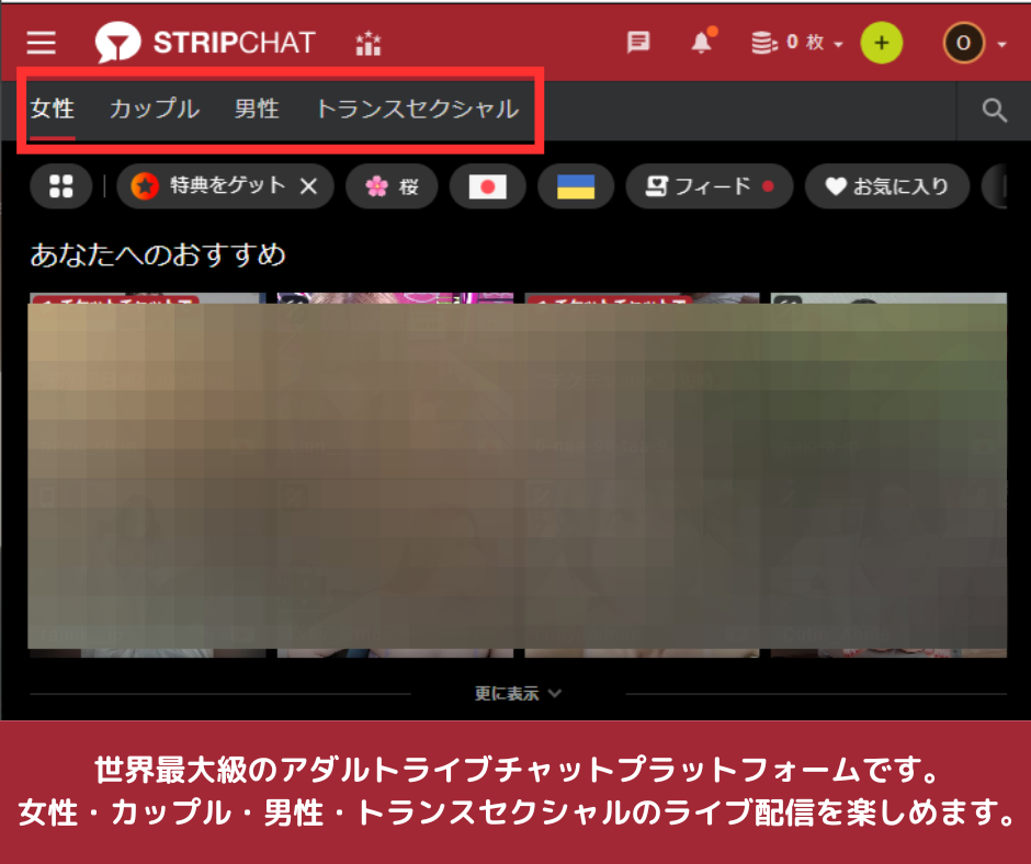 ストリップチャットとは