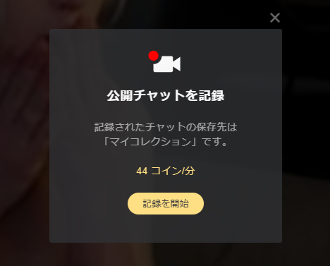 記録(録画)を開始